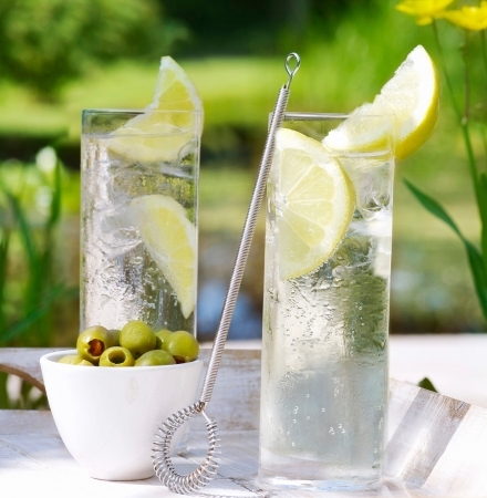 Gin Tonic: How to prepare