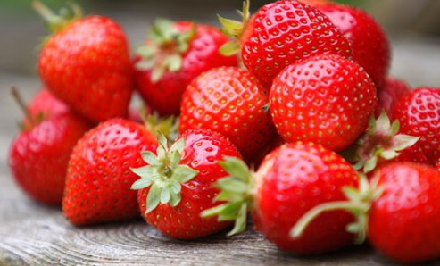 keep strawberries