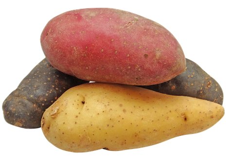 common types of potatoes