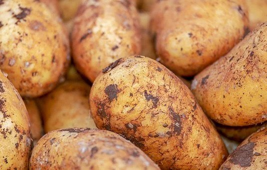 different types of potato