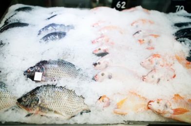Why Fish is More Perishable than Meat