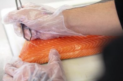 How to Clean Salmon Before Cooking? [Step-by-Step Guide]